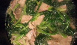 菠菜最新爆料视频